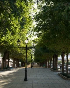 Paseo de San Fernando