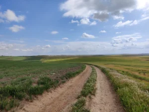 Caminos y veredas