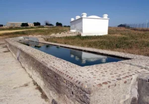 Fuente de la Reina