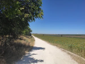 Vía Verde de la Campiña