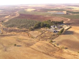 Actividades agropecuarias