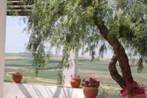 Finca Los Castellares