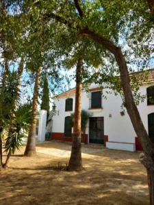 Arroyo de la Santa