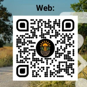 Información en QRs